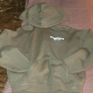 Essentials Sage Green Pullover Hoodie